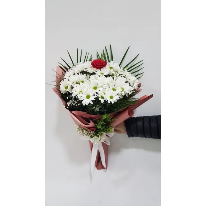Beyaz Papatyalar İçinde Tek Gül