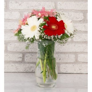Düş Prensesi Gerbera Aranjmanı
