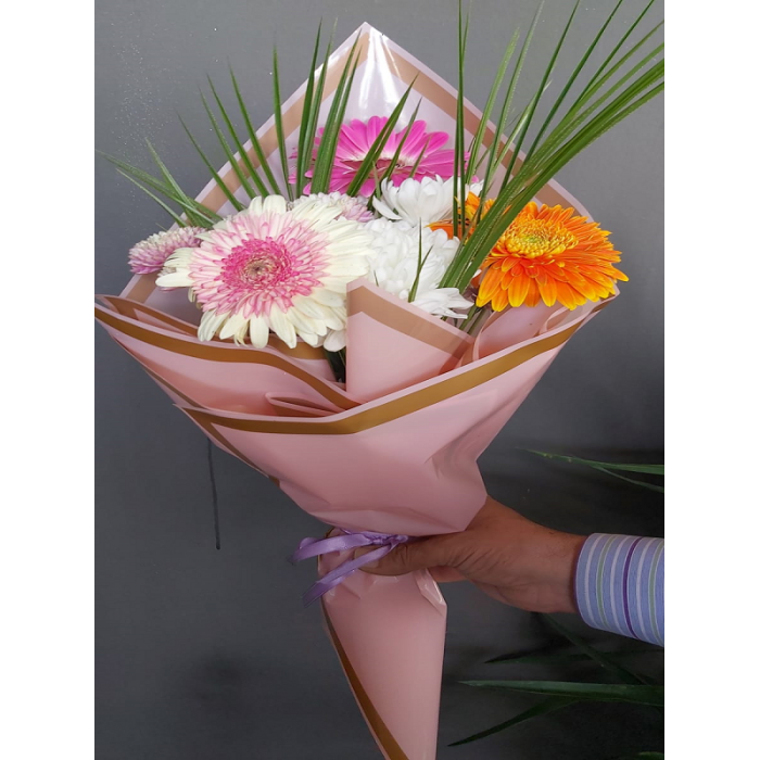 Chrysanthemum