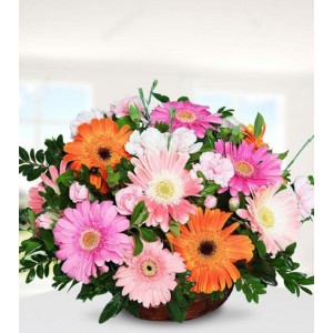 Renkli Gerbera Sepeti